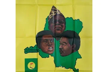 Vénération et éblouissement politique&nbsp;: une marche vers l’autoritarisme&nbsp;?