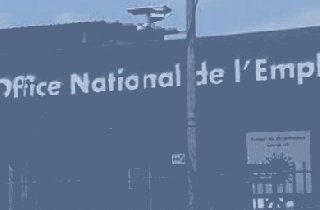 Débrouillardise entrepreneuriale -  le «&nbsp;sauve-qui-peut&nbsp;» érigé en politique publique&nbsp;!