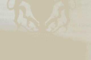 Loi des finances 2024&nbsp;:  le budget de l’armée toujours en hausse